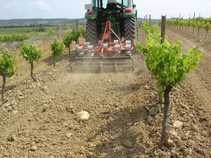 cultivateur porté