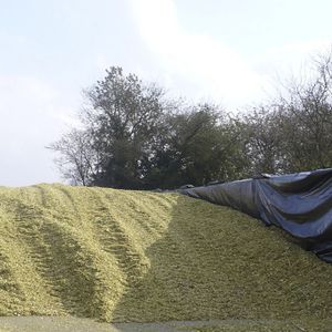bâche d'ensilage