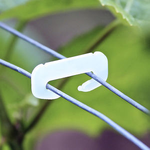 agrafe de vigne