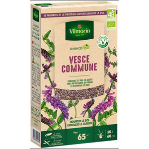 couvert végétal de vesce