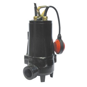 pompe d'irrigation 1