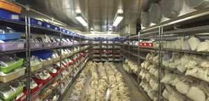 chambre de culture de stockage de semences