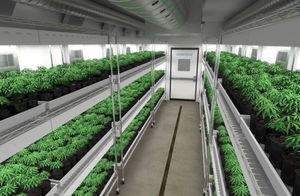 chambre de culture pour croissance de plantes