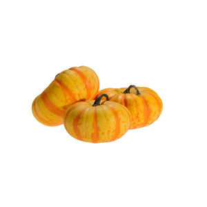 semences de courges résistantes à l'oïdium