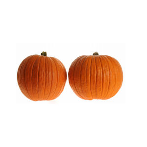 semences de courges résistantes à l'oïdium