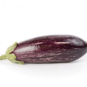 semences d'aubergine hybrides