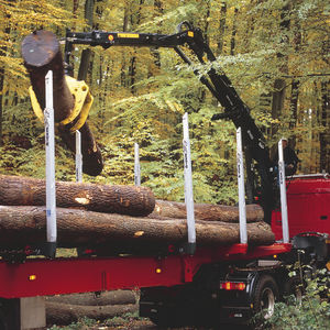 grue forestière montée sur camion 1