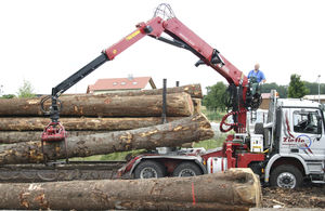 grue forestière montée sur camion 1