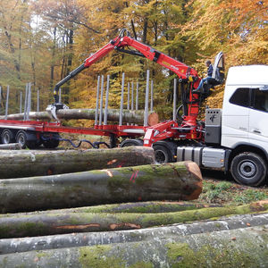 grue forestière montée sur camion 1