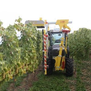 rogneuse de vigne de vigne 1