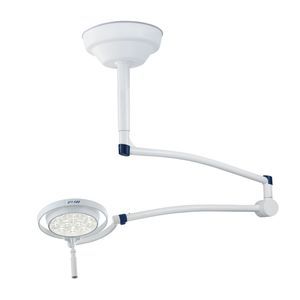 lampe vétérinaire d'examen