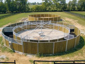 marcheur pour chevaux rond