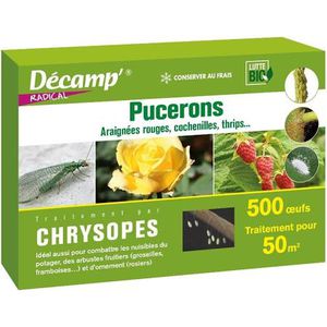 chrysope contre les thrips