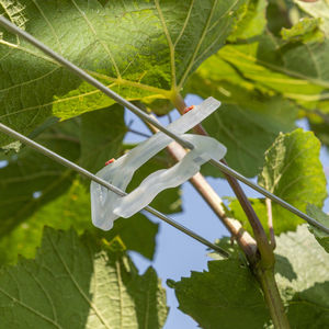 crampillon en plastique