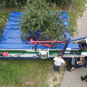 vibreur arboricole à olives