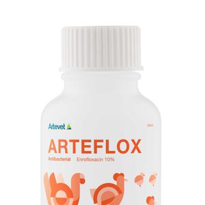 additif alimentaire antibactérien