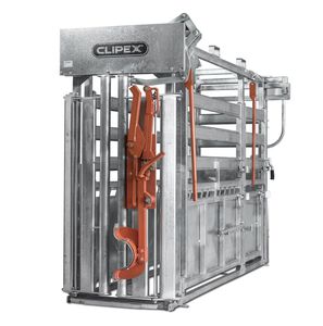 cage de traitement pour bovins 1