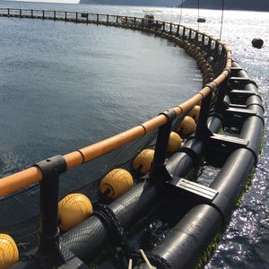 ponton flottant pour l'aquaculture