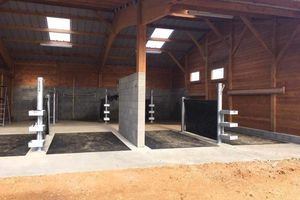 spa pour chevaux 1