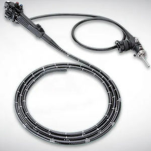 endoscope vétérinaire souple