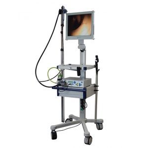 endoscope vétérinaire souple