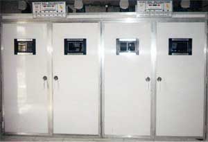 incubateur d'oeufs de poules 1