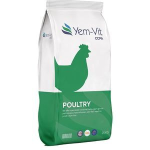 additif alimentaire enzyme