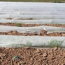 bâche pour tunnel
