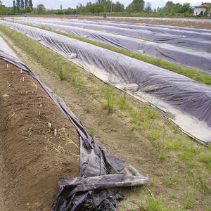 bâche de paillage