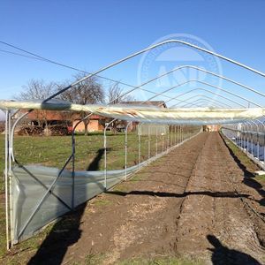 serre multi tunnel