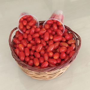 graine de tomate cerise rouge