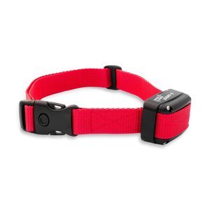 collier électronique 1