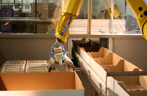 machine d'emballage de caisse 1