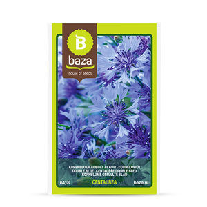 graines de fleur annuelles