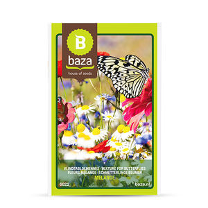 graines de fleur pour attirer les papillons