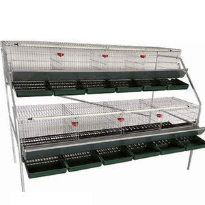 cage d'élevage de poules pondeuses 1