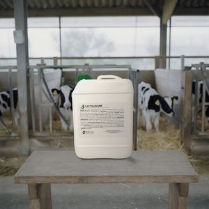 complément alimentaire pour animaux