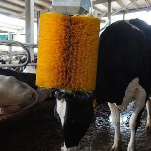 brosse d'élevage