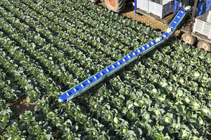 tapis de récolte de légumes