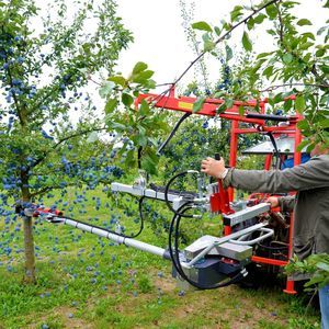 vibreur arboricole de fruits à coques
