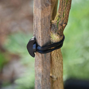 ancrage pour vigne 1