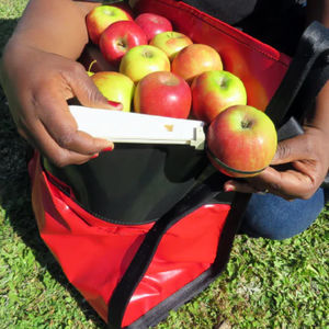 sac de récolte pour fruits 1