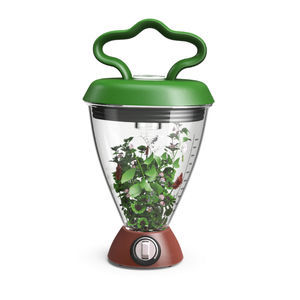 mélange de couverts végétaux