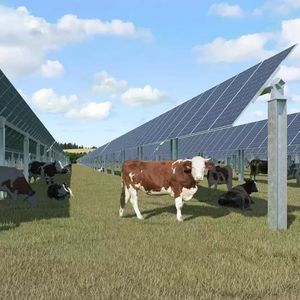 structure agrivoltaïque d'élevage
