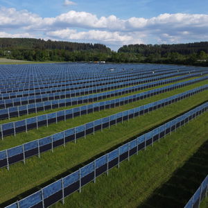 structure agrivoltaïque d'élevage