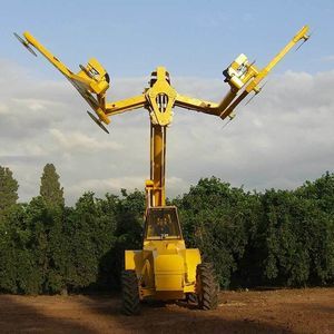 tailleuse arboricole 1