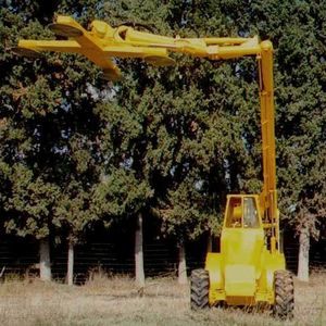 tailleuse arboricole 1
