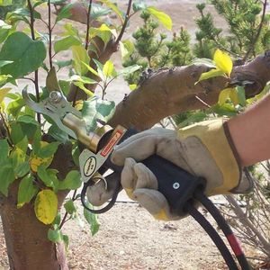 coupe-branche manuel