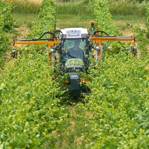 Écimeuse de vigne - Panorama - Pellenc - montée sur tracteur / verticale / hydraulique