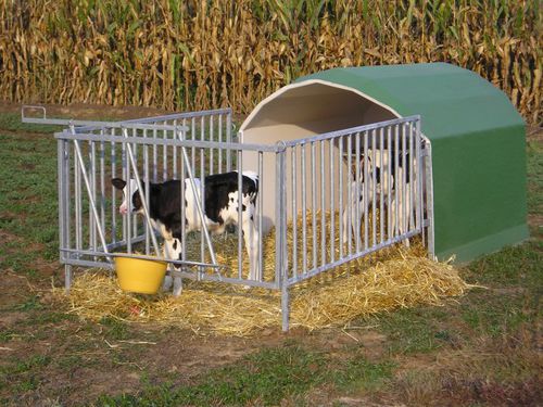 Abri d'élevage - AGRIBOX 3 - AGRITECH S.R.L. - pour veaux / collectif / d'extérieur